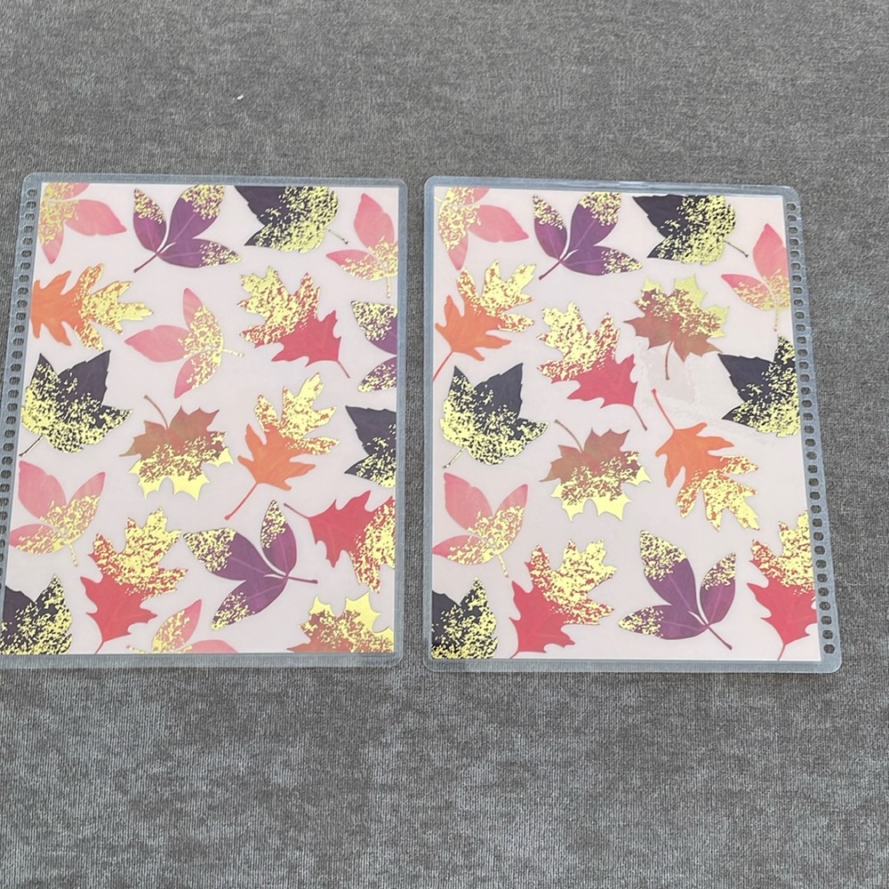 Erin Condren Interchangeable Cover
